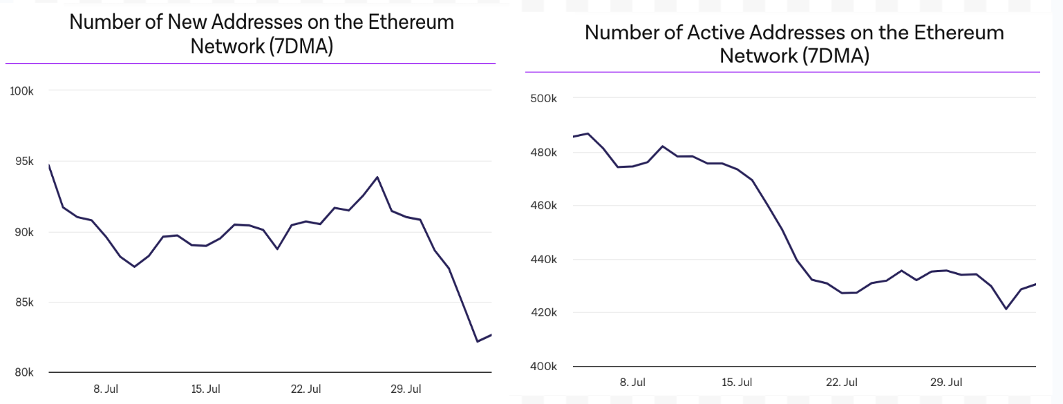 Địa chỉ mới và địa chỉ hoạt động trên Ethereum.