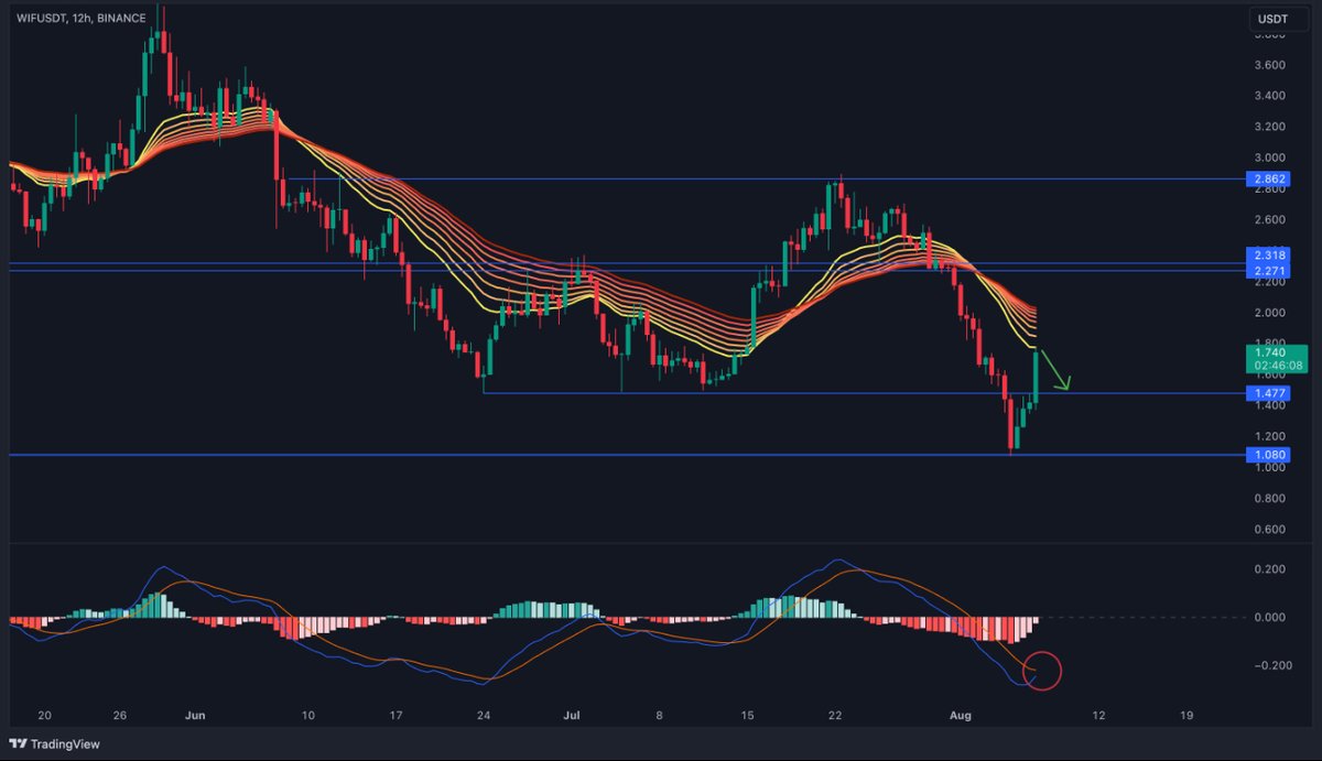 Biểu đồ hàng ngày WIF/USD. Nguồn: Kyledoops