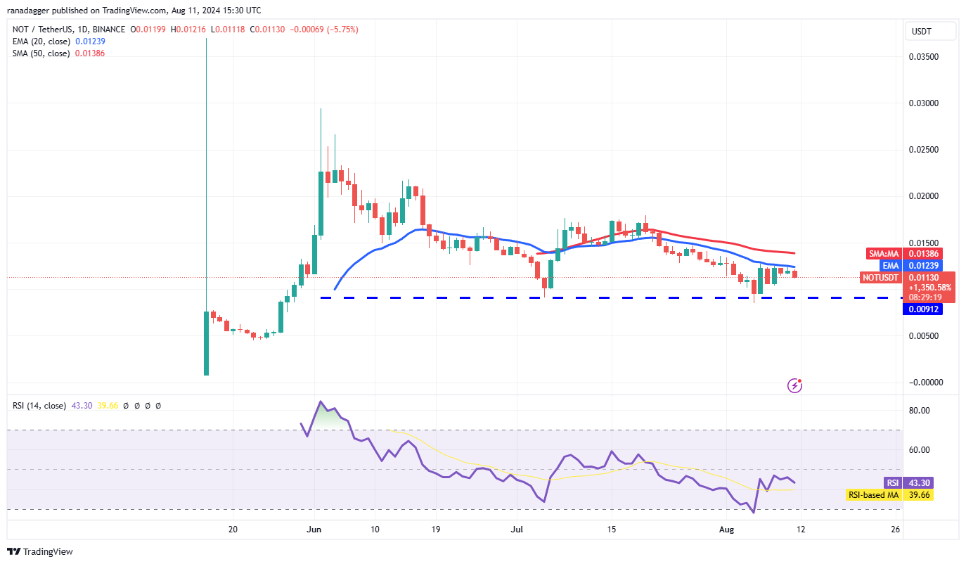 NOT/USDT daily chart