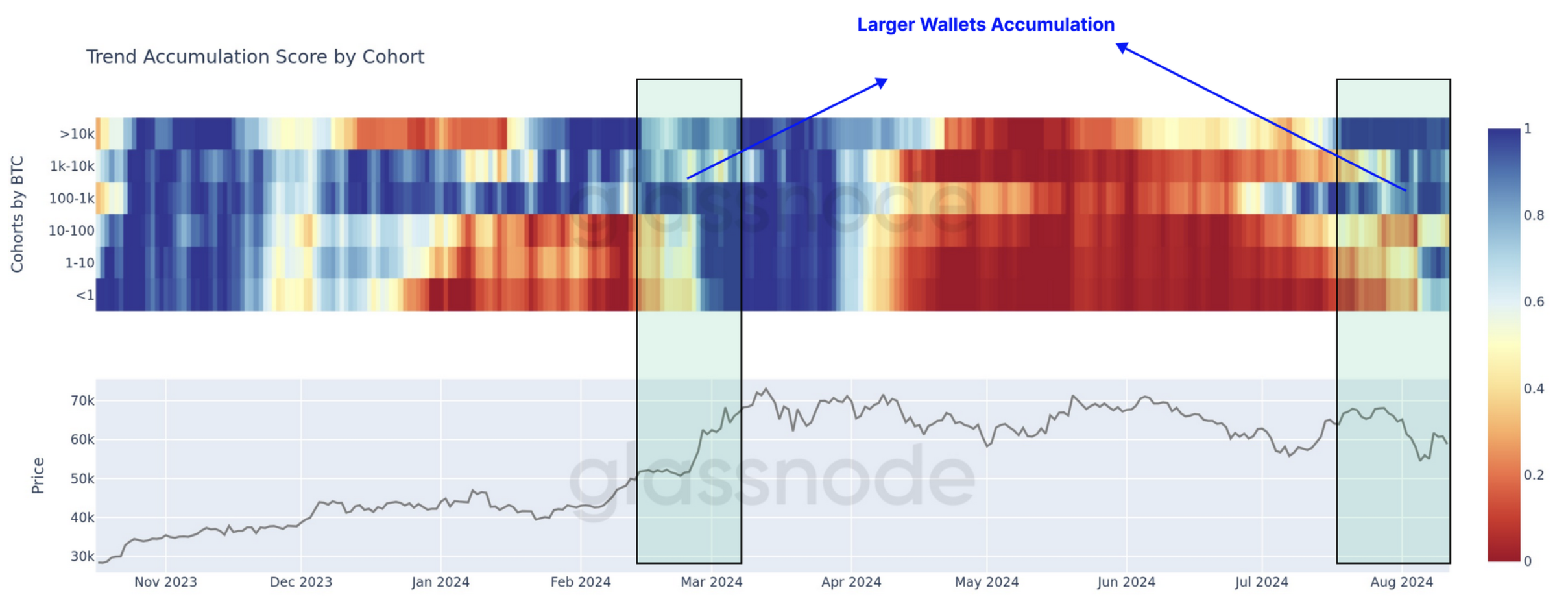 Bitcoin accumulation score by cohort