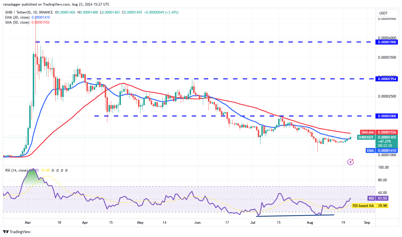 Biểu đồ hàng ngày SHIB/USDT. Nguồn: TradingView