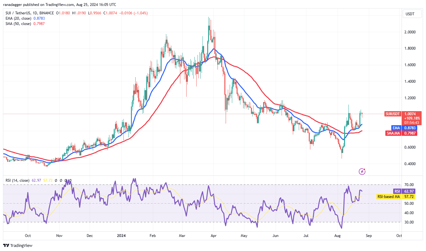 SUI/USDT daily chart