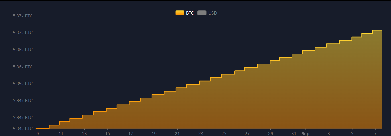 El Salvador Treasury Bitcoin holdings