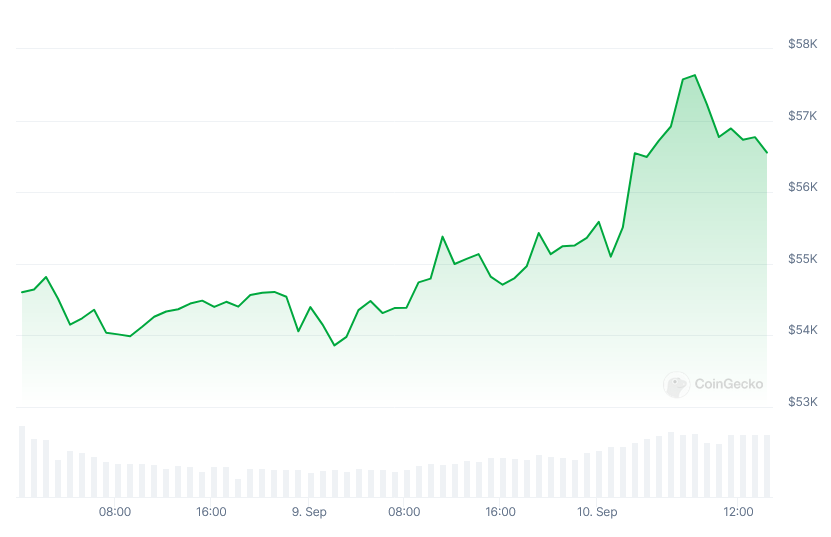 Sự thay đổi giá của Bitcoin kể từ ngày 8 tháng 9