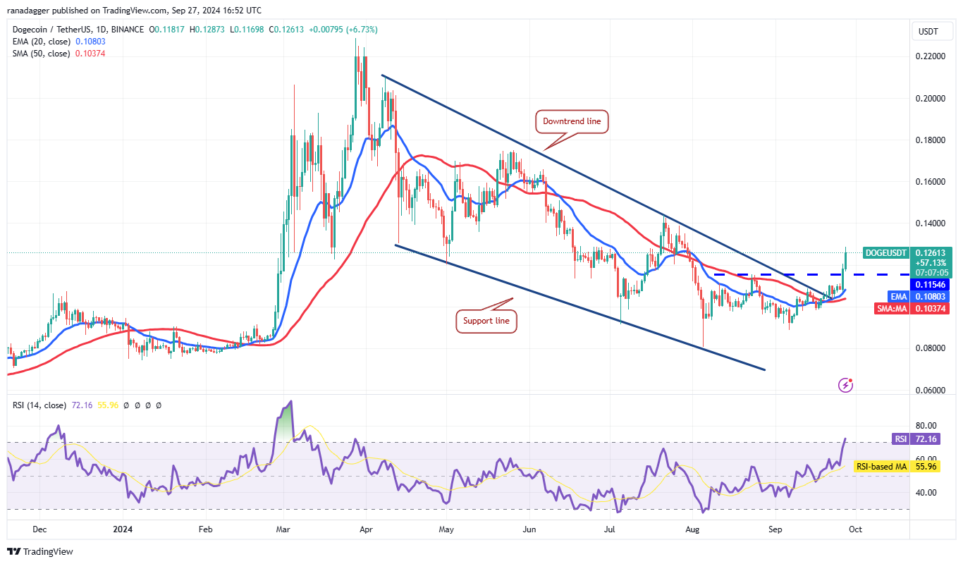 DOGE/USDT daily chart