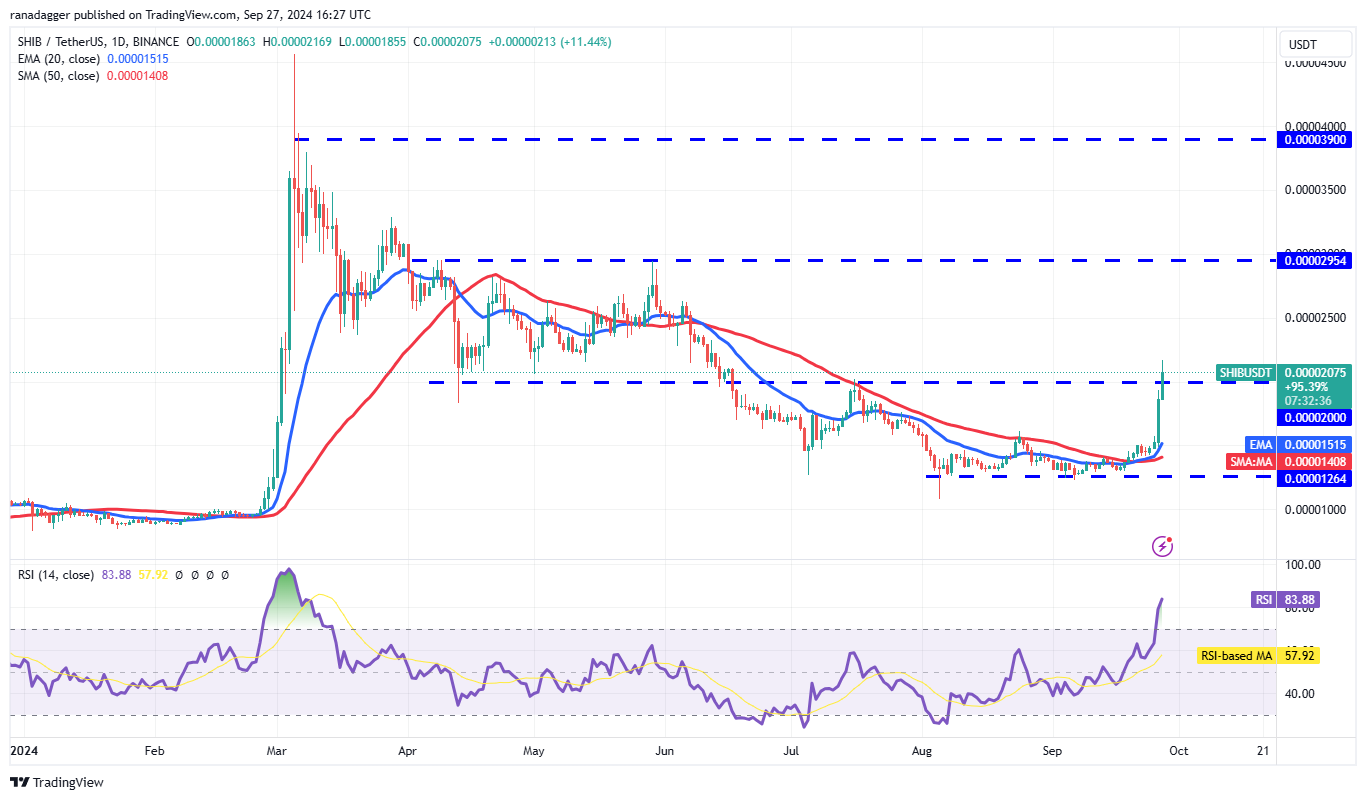 SHIB/USDT daily chart