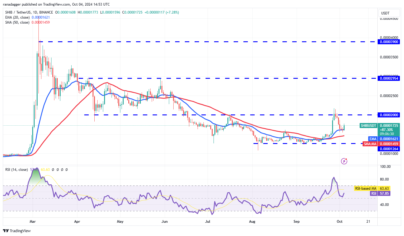 SHIB/USDT daily chart